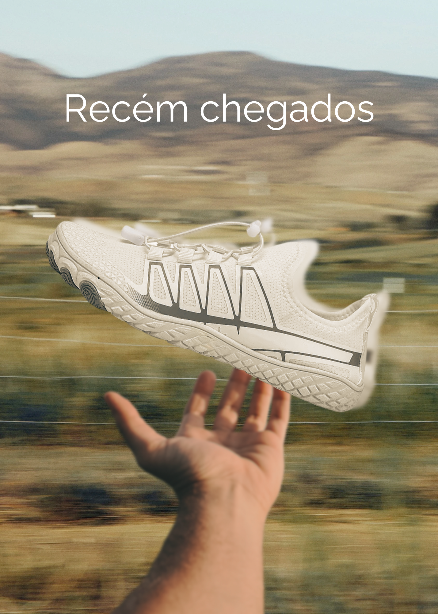 Novidades